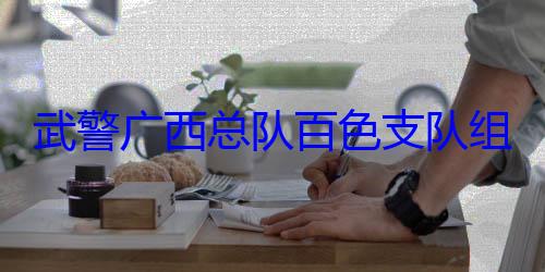 队百色支队组织官兵开展军事体育武警广西总运动会